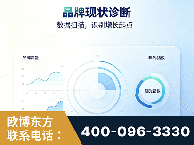 黔东南-品牌现状诊断