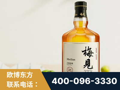 黔东南-梅见青梅酒